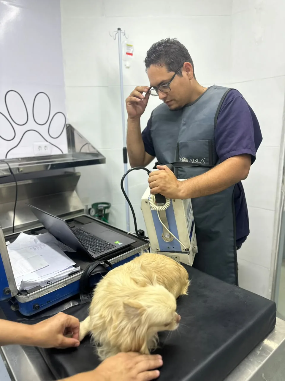 Veterinário de avental de chumbo preparando o aparelho de raio-x ao lado de um cão na mesa de exame