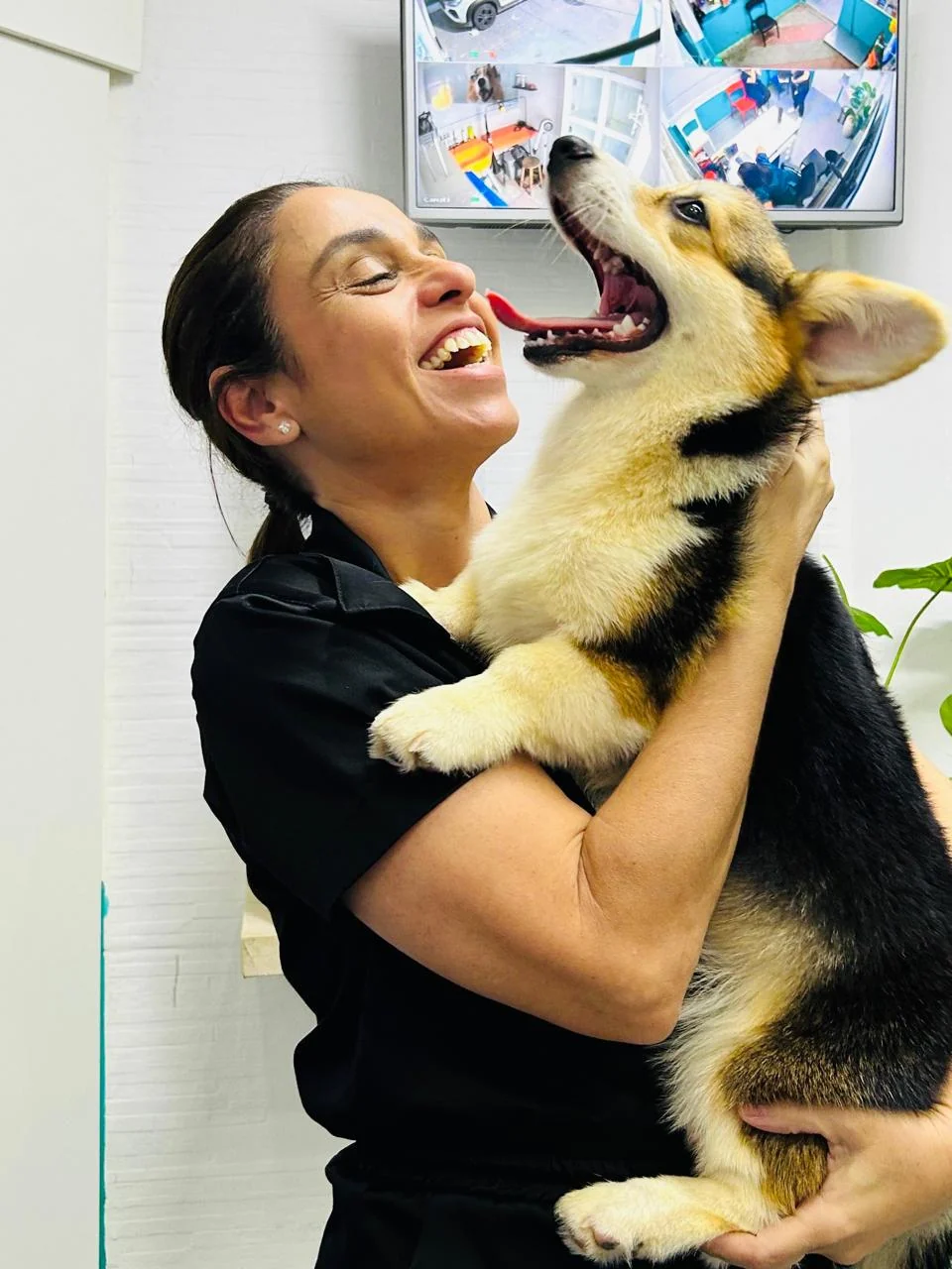 Dra. Caroline Keffer gargalhando com um filhote de corgi no colo