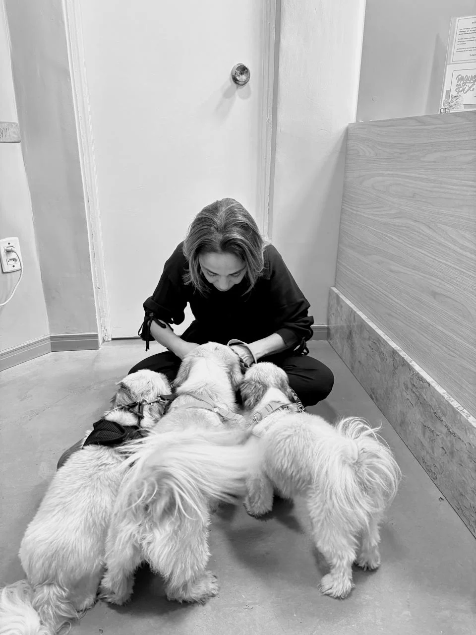 Dra. Caroline Keffer sentada no chão com três shih-tzus, em preto e branco