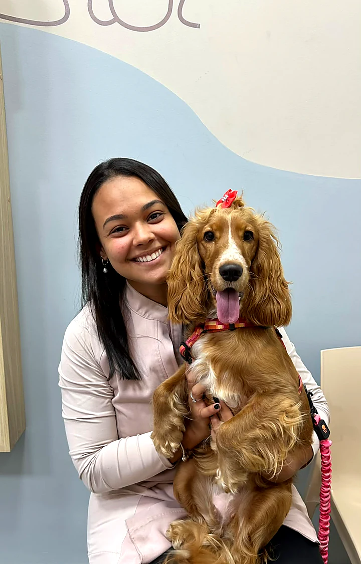 Colaboradora sorrindo com um cocker spaniel de laço vermelho no colo
