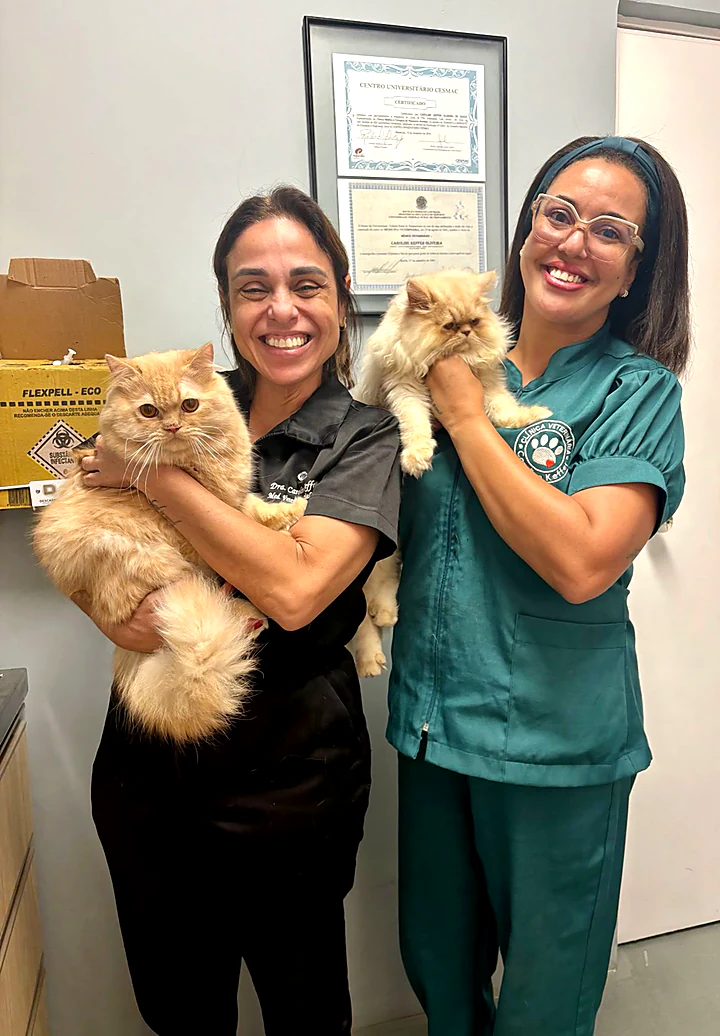 Duas colaboradoras sorrindo, cada uma com um gato persa no colo