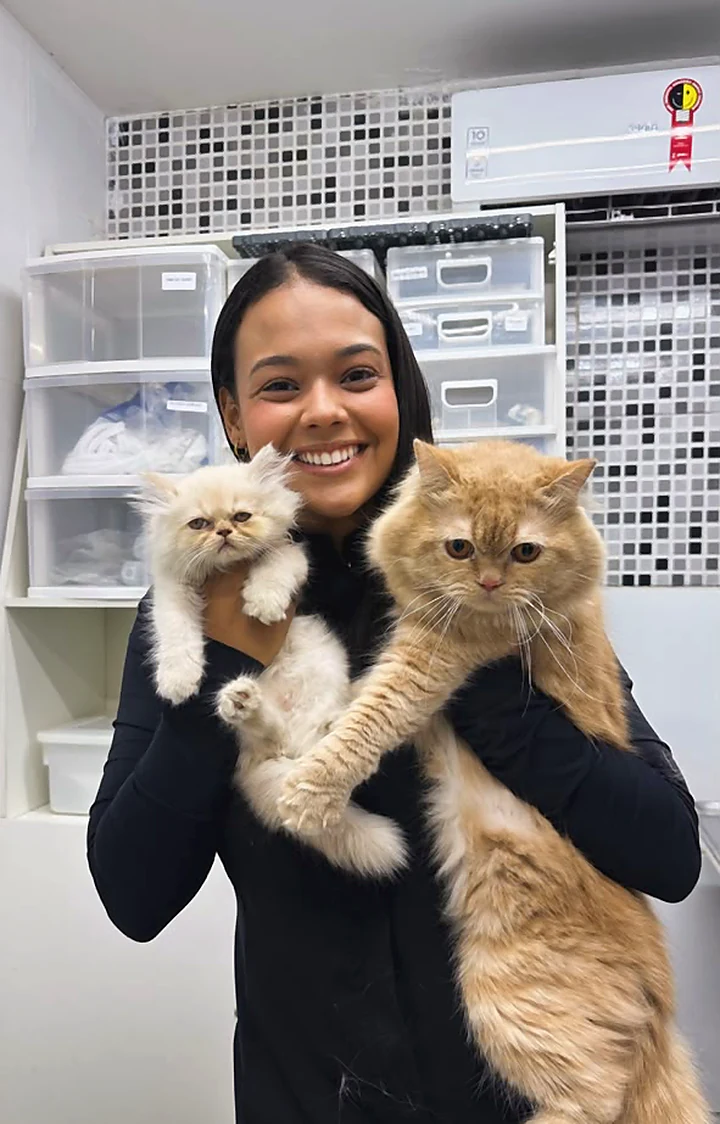 Colaboradora com dois gatos persas no colo