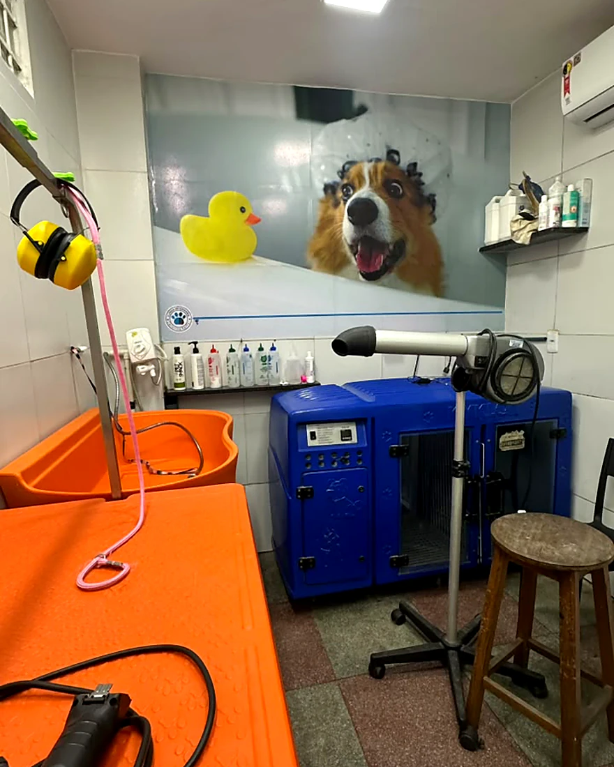 Sala de banho e tosa da clínica, com banheira, secador profissional e mural de cão no banho