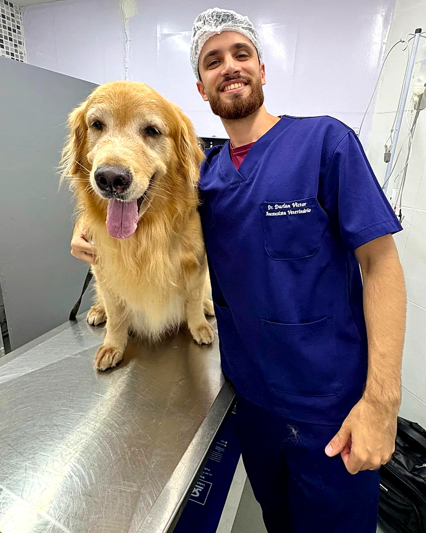 Veterinário sorrindo ao lado de um golden retriever sobre a mesa de exame